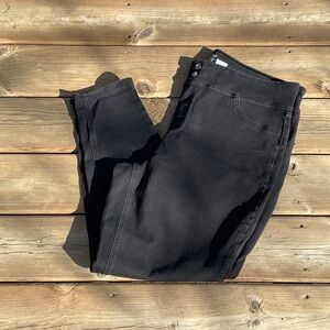 Terra & Sky Women's Dark Black Jeggings